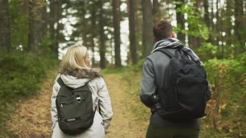 Follow shot from the back of a couple walking in an autumn forest with backpacks.