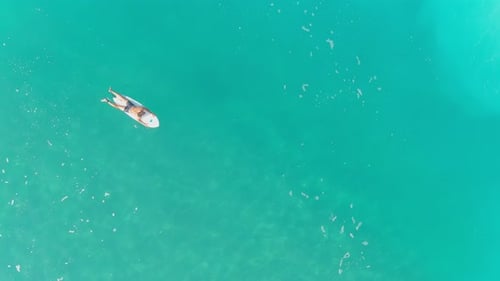 A drone view of sharks swimming in clear water, Hadera in Israel