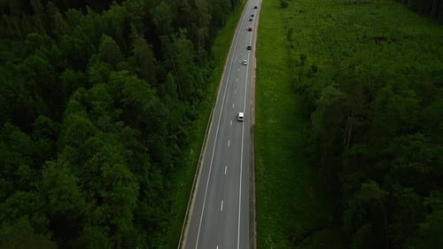 Watch Vehicles on a Forest Road From the Air During the Day Driving Through Scenic Nature with Lush