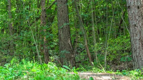 An enthusiast cyclist riding and jumping through the bump, on his mountain bike. on the uneven terra