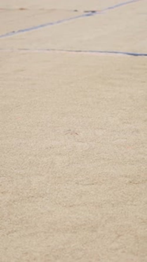 Facility Prepared to Dry Rice on the Ground in a Rural Area of Vietnam