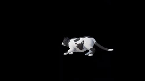 Street Cat bereit zum Angriff