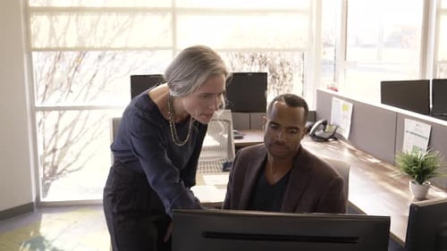 Mature Businesswoman Discussing with Male Colleague Using Computer in Office 40s