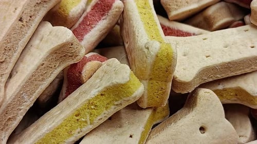 Dog Biscuits