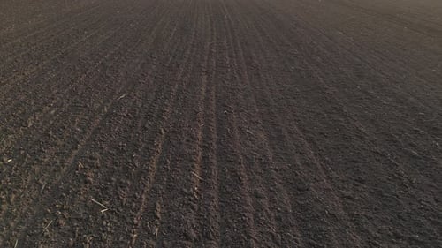 Landwirtschaftliches Ackerland Feld 72