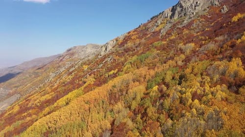 Vue aérienne des collines boisées colorées et des falaises en automne