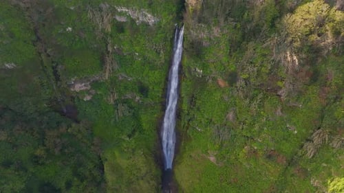 Beautiful waterfall cascading down green cliffs in a tropical forest