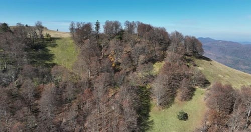 Panorama of Beautiful Countryside of Romania