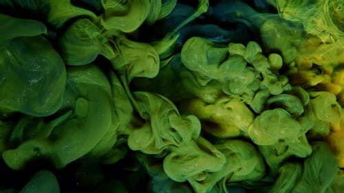 Dynamic Paint Fusion SlowMotion Display of Colored Ink in Water with Green and Yellow Paint Splash