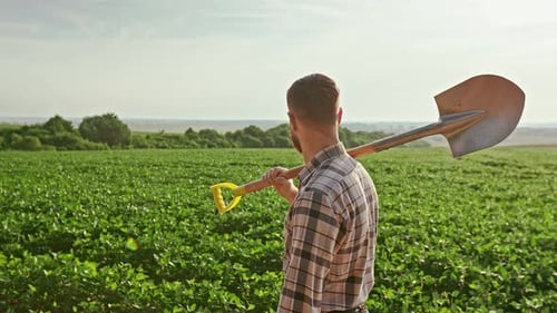 Young Male Farmer with Beard Walking on Field