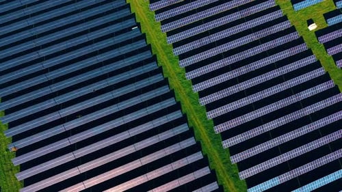 Long solar panels covering the green fields. Bright sun illuminates the photovoltaic cells.