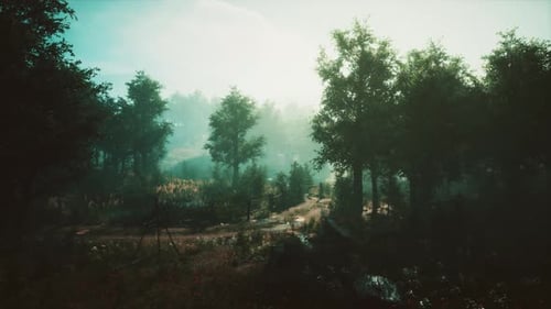 Autumn Forest Scenery with Rays of Warm Light