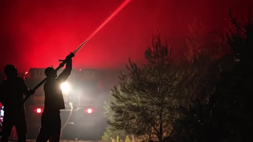 Firefighter Fights Fire in Forest