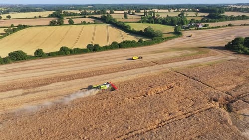 British Farming Aerial View A Combine Harvester Working in a Rapeseed Field