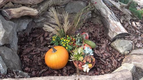 Autumn garden decoration. Concept of Thanksgiving day or Halloween.