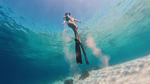 Female freediver swims in the tropical sea. Woman free diver glides underwater in a sea and descends