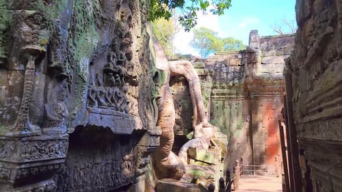 Geheimnisvolle antike Ruinen Der Ta-Prohm-Tempel, berühmtes kambodschanisches Wahrzeichen