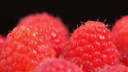 Ripe raspberries close up rotate like background for food video. Juicy fresh raspberry berry