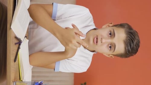 Teen Explaining Concepts at Desk with Books