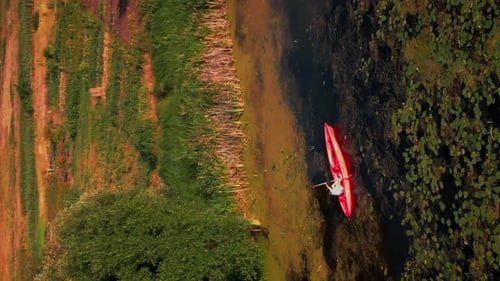 Active woman kayaking in river at sunset. Vertical video