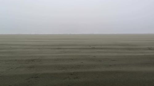 Storm winds blowing over the beach sand -wide