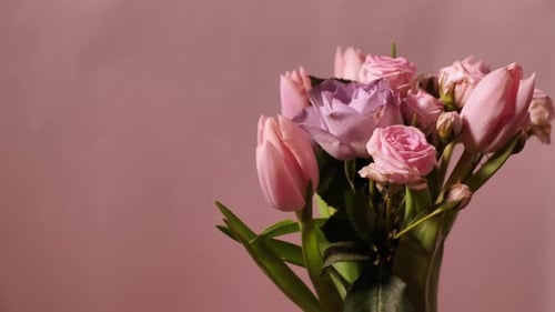 Bouquet of Spring Pink Flowers on the Background