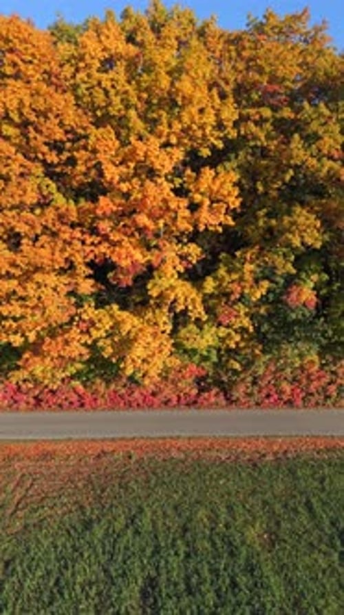 Drone Flying Sideways Above Road Surrounded By Colorful Autumn Forest and Fields