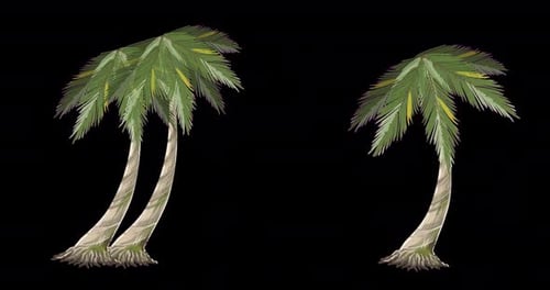 Coconut Tree Alpha 2D
