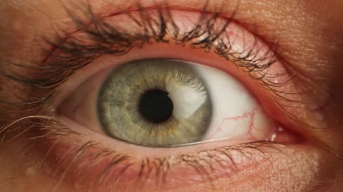 Extreme Close Up of Blinking Eye