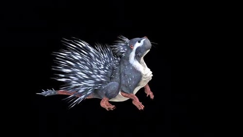Cap Porcupine Idle 2
