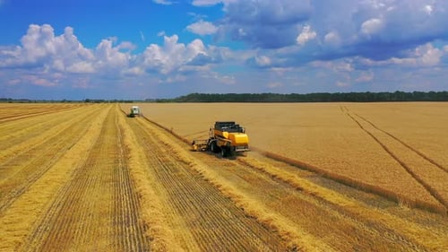 Agricultural machinery on golden field.