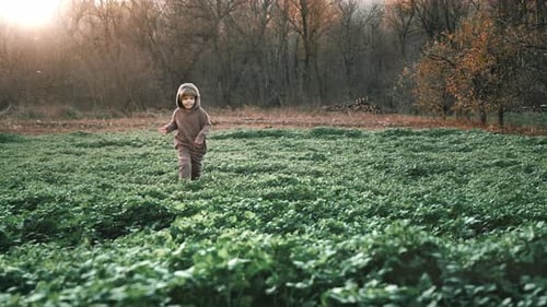 Little Happy Boy Cheerfully Running in Green Mustard Field