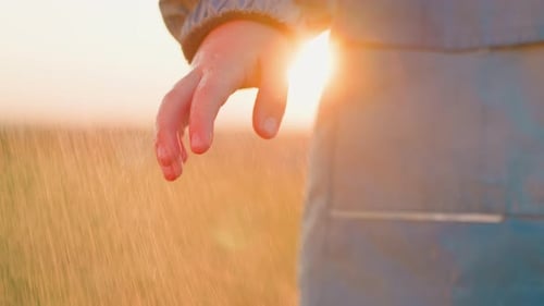 Child's Hand in the Rain at Sunset