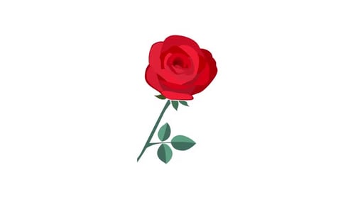 Rose Element Alpha Animation