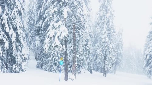 Downward Skiing Slope Alongside Woods