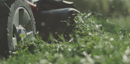 Tondre le gazon avec une tondeuse à gazon