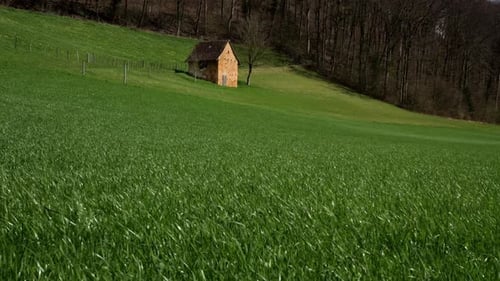 Spring Meadow Breeze.
