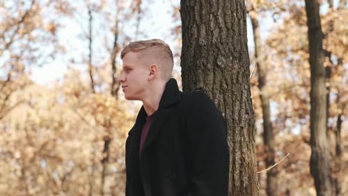 Portrait of Handsome Man in Black Coat Sitting Near the Tree in Autumn Forest on Sunny Day