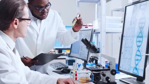 Two Scientists Working Together in a Modern Lab