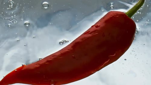 Red Chili Pepper Floating in Water