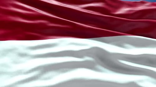 Realistic Waving Flag of Indonesia Loop Background
