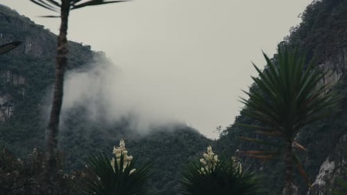 Mist In Exotic Tropical Jungles In The Mountains Of Peru. Timelapse