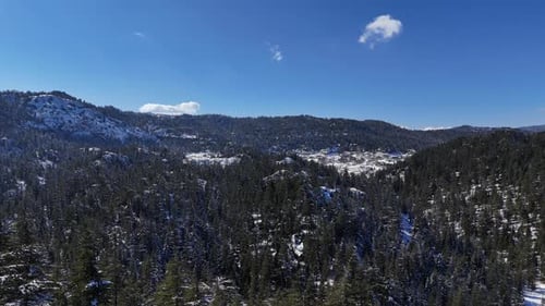 Drone view winter nature, aerial view with frozen river, trees covered with white snow