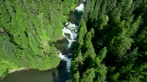 Fly along the ground to photograph river headwaters, grass and trees.