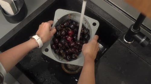 Washing Fresh Cherries in Kitchen Sink