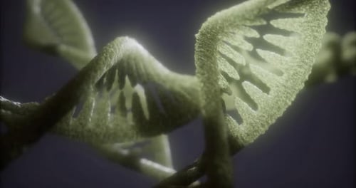 Exploring the Intricate Structures and Mysteries of DNA in Vibrant Detail