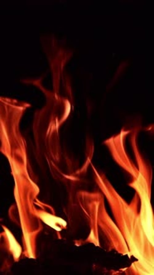 Wood burning in the campfire. Cozy warm view of a beautiful bonfire at night. Vertical video