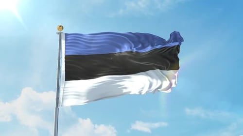 Realistische Flagge Estlands
