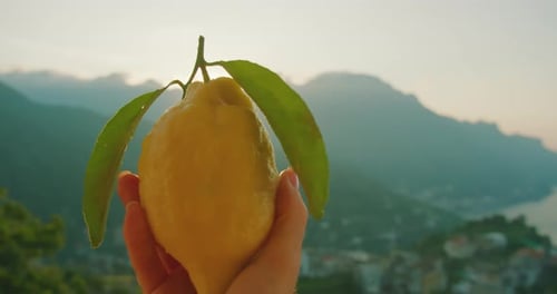 Fresh Lemon Held with Scenic Coastal Mountain View