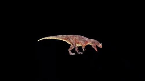 Wild Ceratosaurus Roar 2